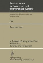 Dynamic Theory of the Firm: Production, Finance and Investment