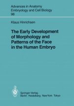 Early Development of Morphology and Patterns of the Face in the Human Embryo