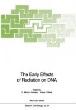 Early Effects of Radiation on DNA