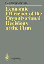 Economic Efficiency of the Organizational Decisions of the Firm