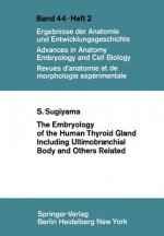 Embryology of the Human Thyroid Gland Including Ultimobranchial Body and Others Related