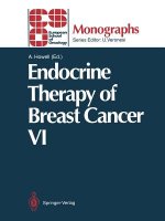 Endocrine Therapy of Breast Cancer VI