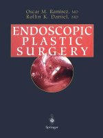 Endoscopic Plastic Surgery