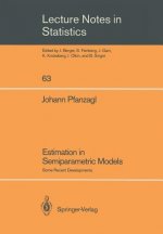 Estimation in Semiparametric Models