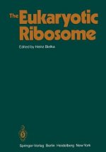 Eukaryotic Ribosome