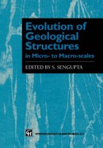 Evolution of Geological Structures in Micro- to Macro-scales