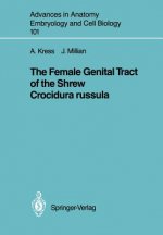 Female Genital Tract of the Shrew Crocidura russula