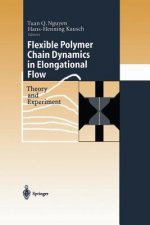 Flexible Polymer Chains in Elongational Flow