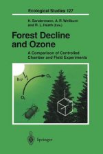 Forest Decline and Ozone