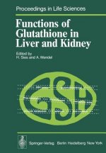 Functions of Glutathione in Liver and Kidney
