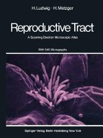 Human Female Reproductive Tract