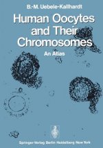 Human Oocytes and Their Chromosomes