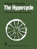 Hypercycle