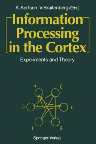Information Processing in the Cortex