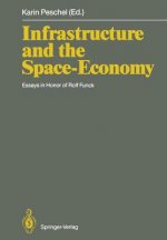 Infrastructure and the Space-Economy