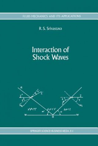 Interaction of Shock Waves