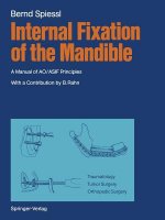 Internal Fixation of the Mandible