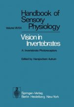 Comparative Physiology and Evolution of Vision in Invertebrates