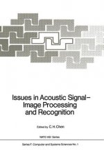 Issues in Acoustic Signal - Image Processing and Recognition