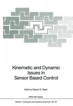 Kinematic and Dynamic Issues in Sensor Based Control