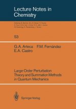 Large Order Perturbation Theory and Summation Methods in Quantum Mechanics