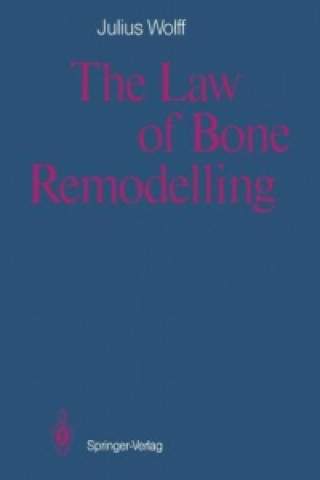 Law of Bone Remodelling