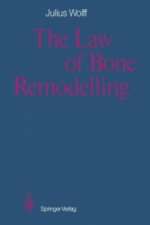 Law of Bone Remodelling