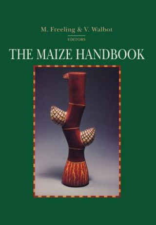 Maize Handbook