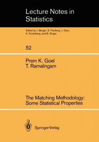 Matching Methodology: Some Statistical Properties