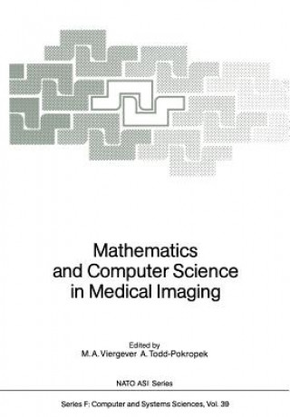 Mathematics and Computer Science in Medical Imaging