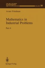 Mathematics in Industrial Problems