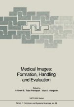 Medical Images: Formation, Handling and Evaluation