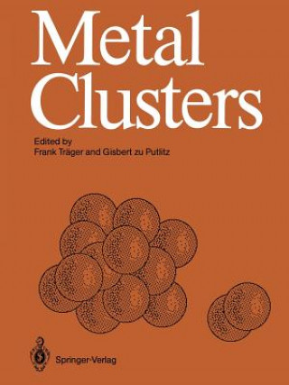 Metal Clusters