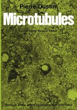 Microtubules