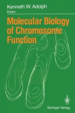 Molecular Biology of Chromosome Function