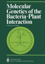 Molecular Genetics of the Bacteria-Plant Interaction