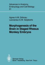 Morphogenesis of the Brain in Staged Rhesus Monkey Embryos