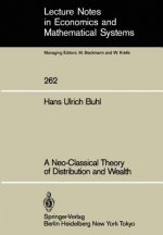 Neo-Classical Theory of Distribution and Wealth