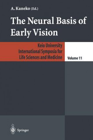 Neural Basis of Early Vision