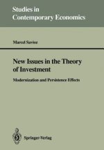New Issues in the Theory of Investment