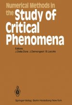 Numerical Methods in the Study of Critical Phenomena