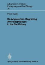 On Angiotensin-Degrading Aminopeptidases in the Rat Kidney