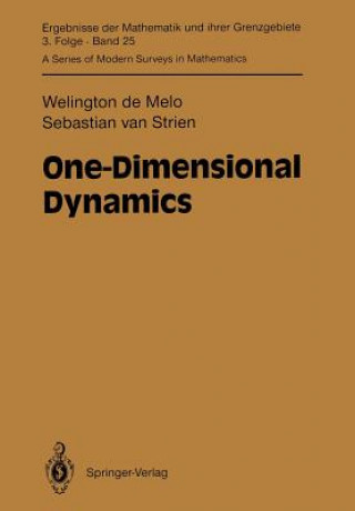One-Dimensional Dynamics
