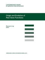 Origin and Evolution of New Gene Functions