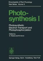 Photosynthesis I