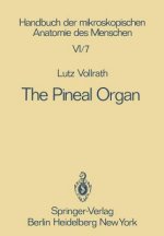 Pineal Organ