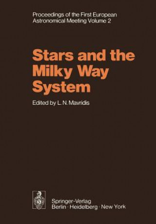 Stars and the Milky Way System
