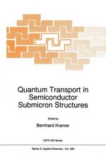 Quantum Transport in Semiconductor Submicron Structures