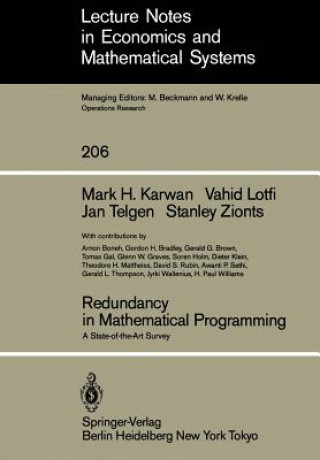 Redundancy in Mathematical Programming