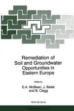 Remediation of Soil and Groundwater